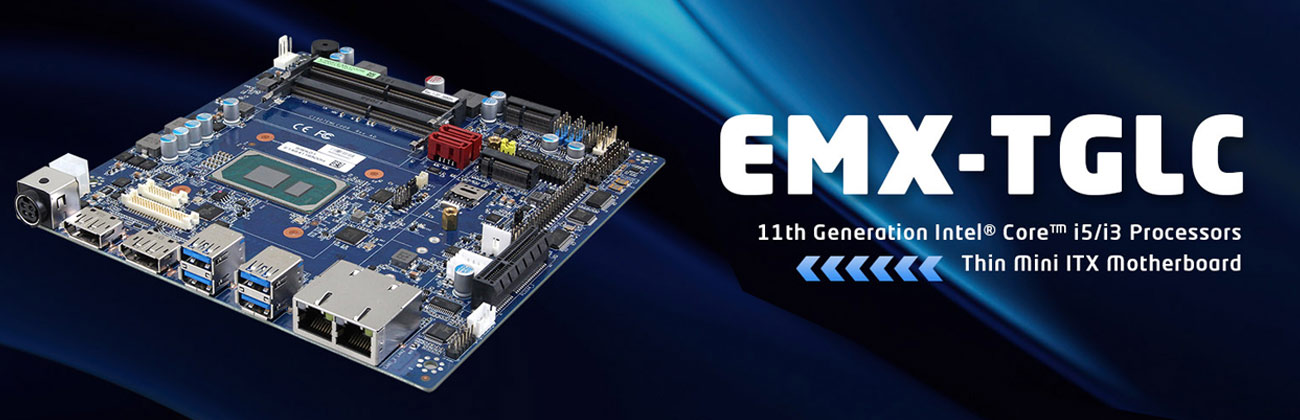 Anewtech-Systems-Industrial-Motherboard-A-EMX-TGLC-mini-itx-motherboard-avalue