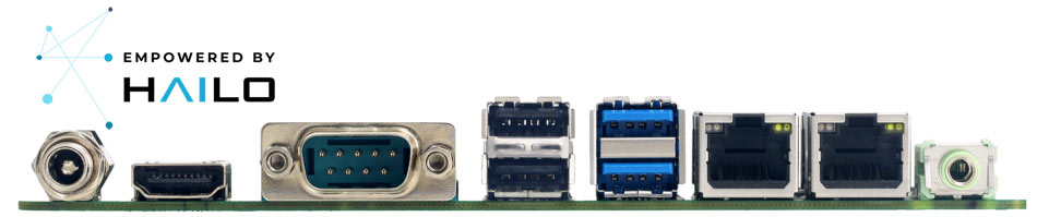Anewtech-Systems-Server-Accelerator-Card-B-BIELK-IHT-Biostar
