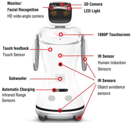 anewtech-service-robot-sanbot-specification
