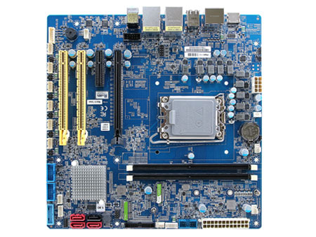 Anewtech-Systems-Industrial-Motherboard-A-RX610h